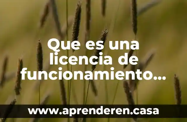 Para que es la licencia tipo b en sinaloa 3 Que es una licencia de funcionamiento de giro tipo a