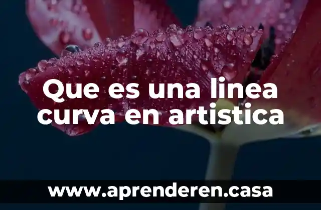 Que es curva lm en economia ejemplo 3 Que es una linea curva en artistica