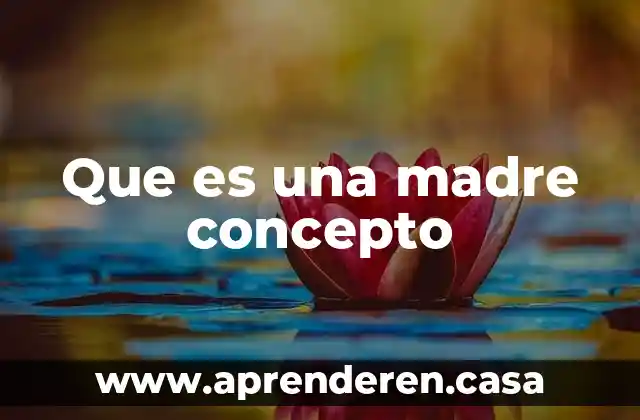 Que es una madre concepto