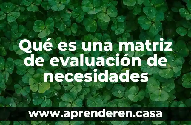 Qué es una matriz de evaluación de necesidades