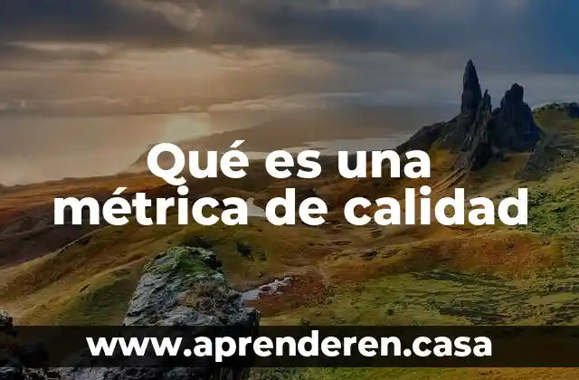 Qué es una métrica de calidad
