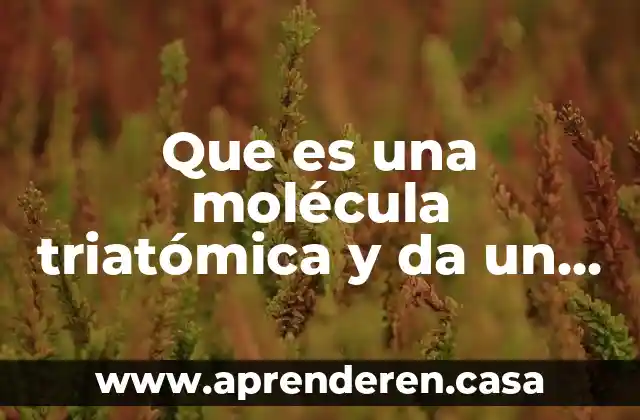 Que es una molécula triatómica y da un ejemplo