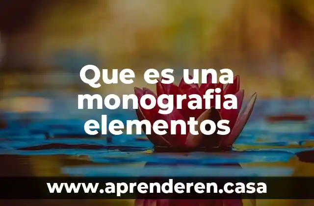 Que es una monografia elementos