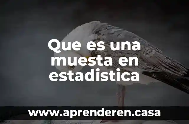 Que es una muesta en estadistica