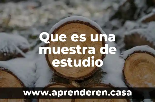 Que es una muestra de estudio
