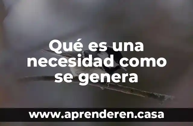 Qué es la palabra necesidad imper 5 Qué es una necesidad como se genera