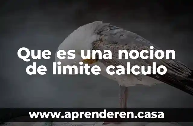 Qué es un límite matemático 6 Que es una nocion de limite calculo