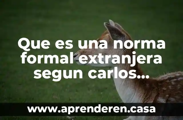 Que es una norma formal extranjera segun carlos arellano garcia