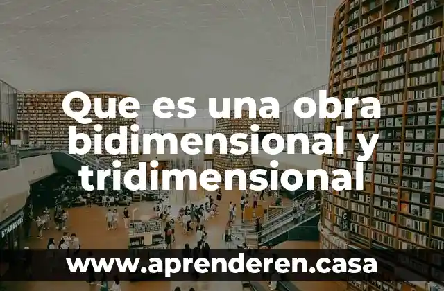 Que es necesidasd de obra sivil 3 Que es una obra bidimensional y tridimensional