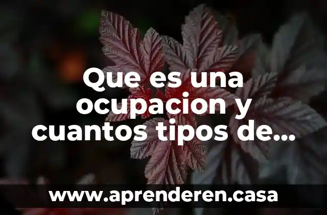Que es una ocupacion y cuantos tipos de ocupacion hay