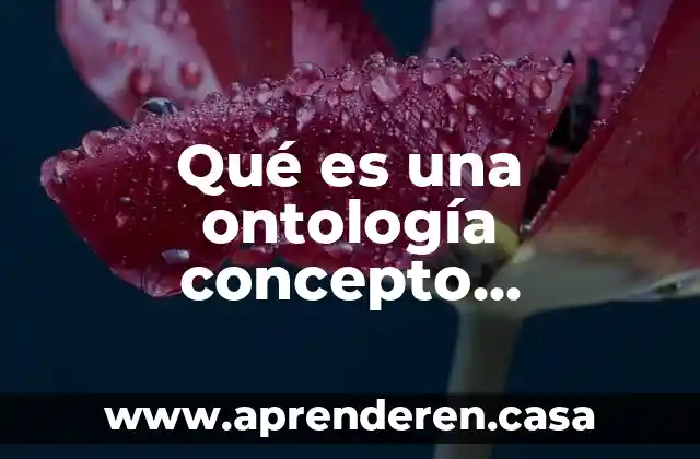 Qué es una ontología concepto filosófico