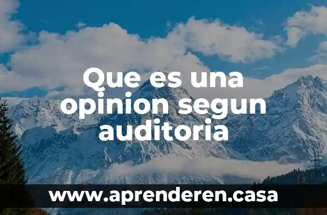 Que es una opinion segun auditoria