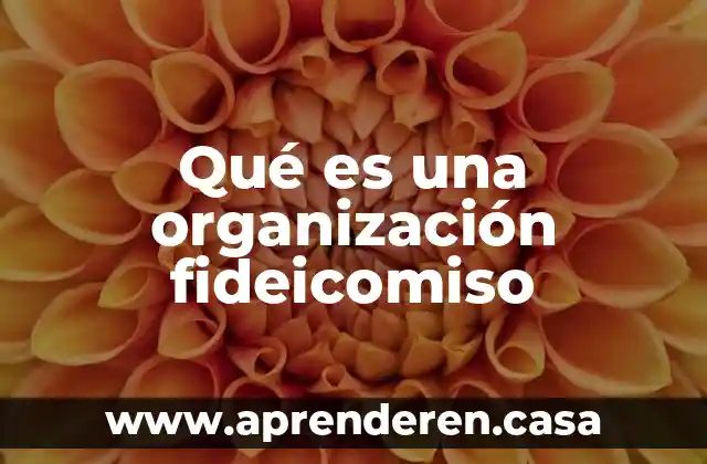 Qué es una organización fideicomiso
