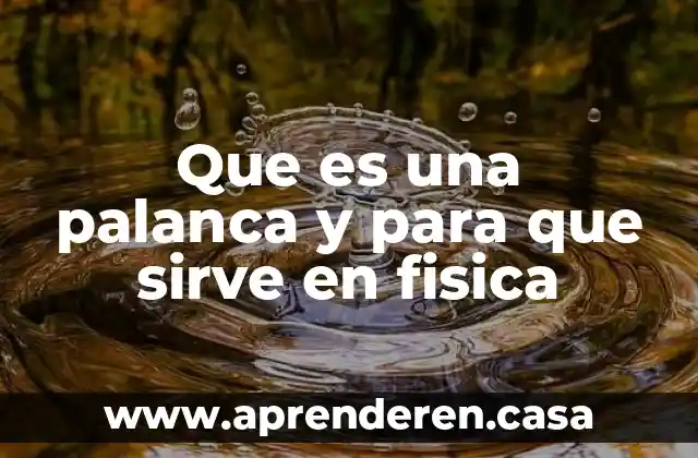 Qué es signifaca who y para qué sirve 6 Que es una palanca y para que sirve en fisica