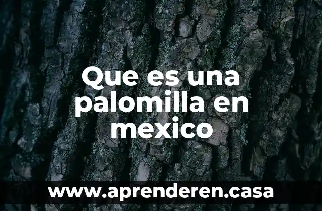 Que es una palomilla en mexico