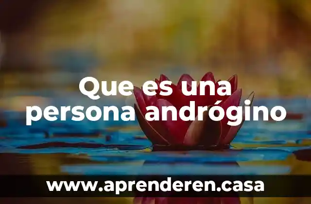 Que es una persona andrógino