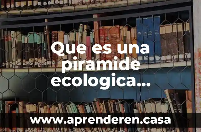 Que es una piramide ecologica numerica
