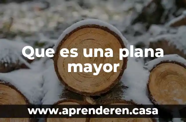 Que es requerimientos nutricionales lipido adulto mayor segun la oms 4 Que es una plana mayor