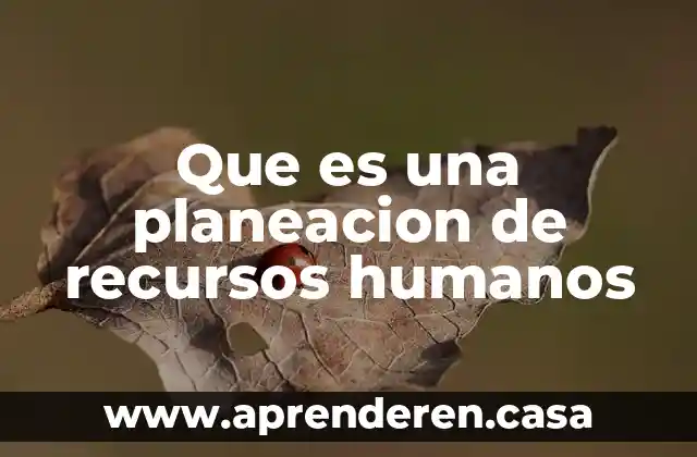 Que es una planeacion de recursos humanos