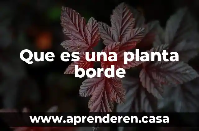 Que es una planta borde