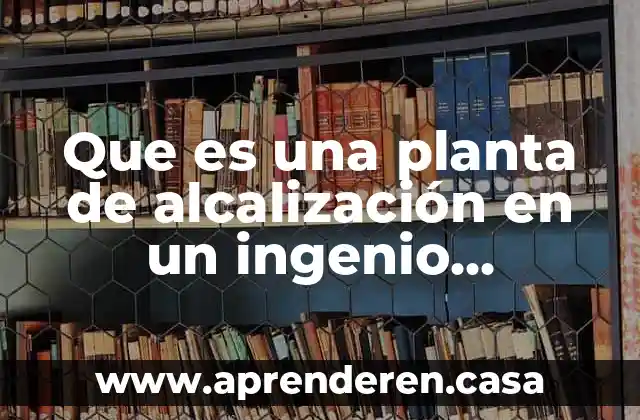 Que es una planta de alcalización en un ingenio azucarero