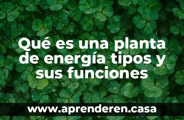 Qué es una planta de energía tipos y sus funciones