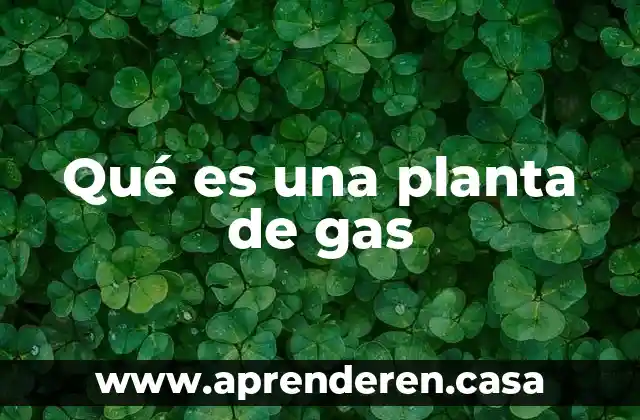Que es una planta nuclar 3 Qué es una planta de gas