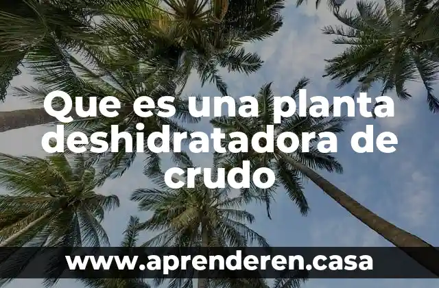 Que es una planta deshidratadora de crudo
