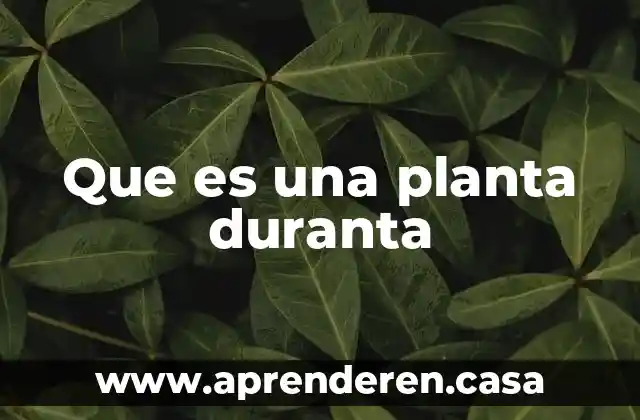 Que es una planta duranta