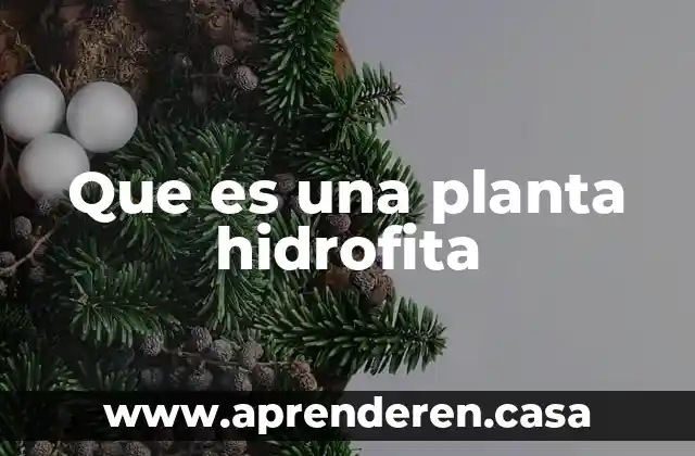 Que es una planta hidrofita
