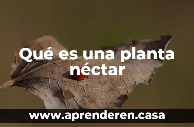 Qué es una planta néctar