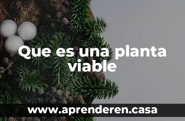 Que es una planta viable