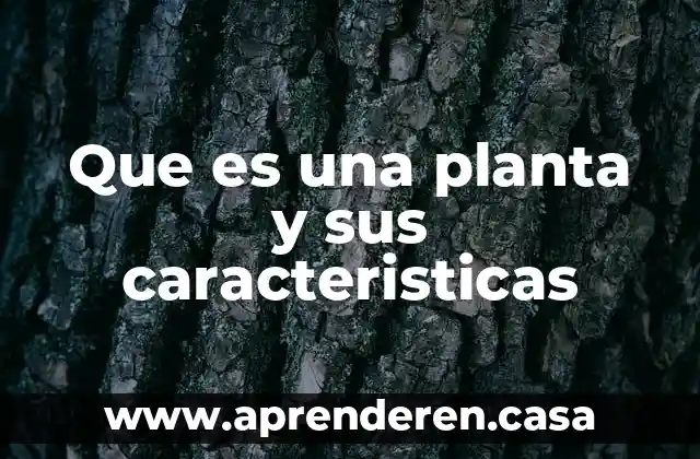 Que es una planta y sus caracteristicas