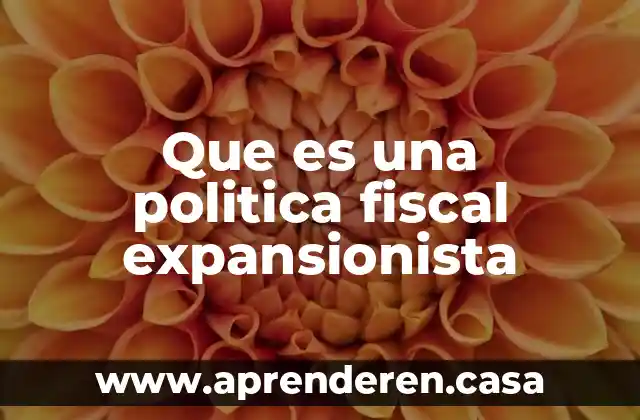 Que es una politica fiscal expansionista