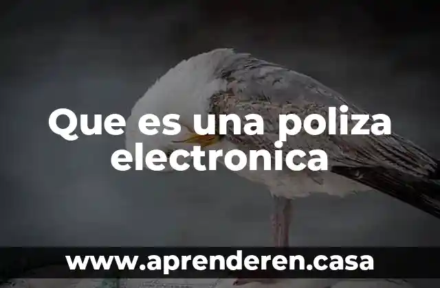 Que es una poliza electronica