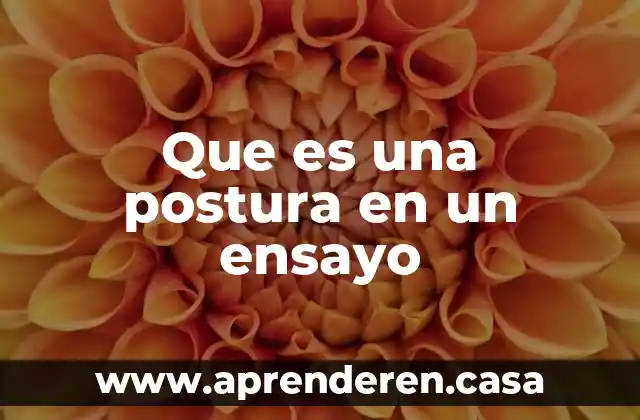 Que es una postura en un ensayo