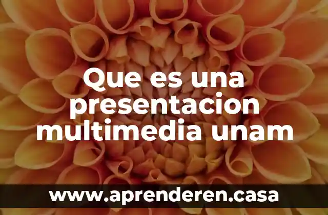 Que es una presentacion multimedia unam