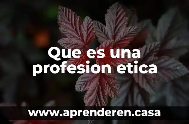Que es una profesion etica