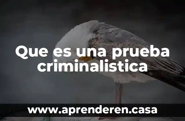 Que es una prueba criminalistica
