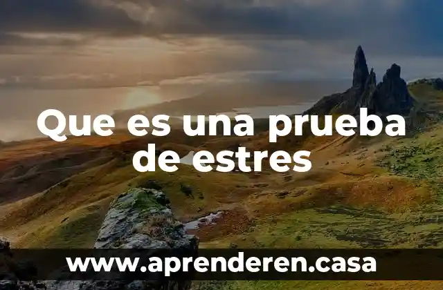Que es una prueba de estres