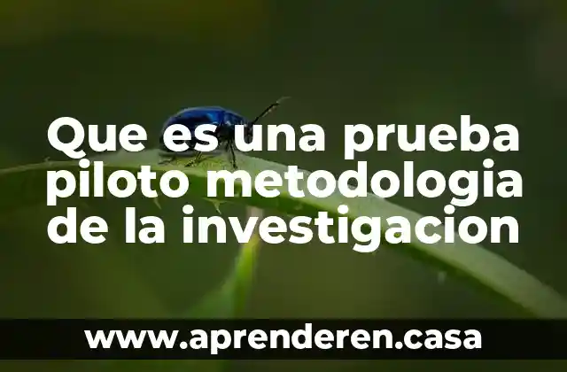 Que es una prueba piloto metodologia de la investigacion
