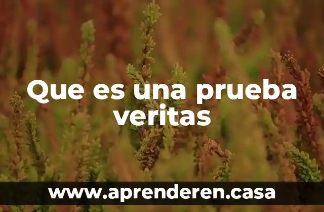 Que es la prueba de labsim 3 Que es una prueba veritas