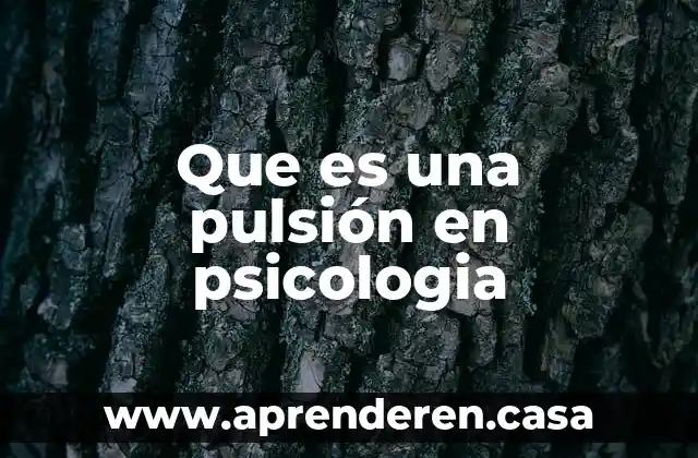 Que es una pulsión en psicologia