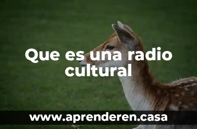 Que es una radio cultural