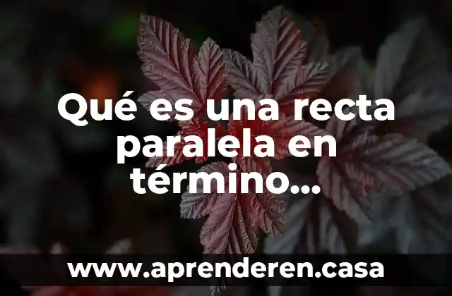 Que es una linea recta ejemplos 6 Qué es una recta paralela en término matemático