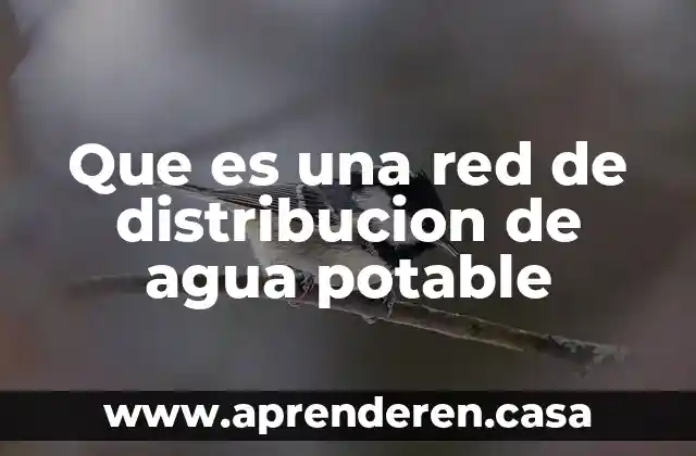 Que es una red de distribucion de agua potable