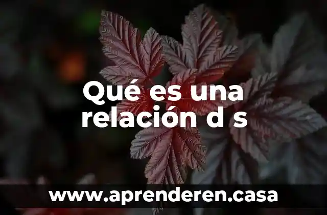 Qué es una relación d s