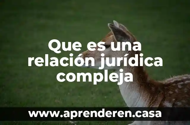 Que es una relación jurídica compleja