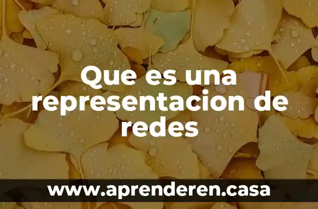 Que es una representacion de redes