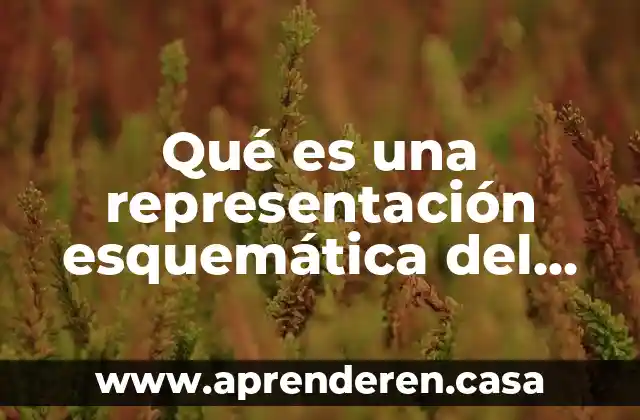 Qué es una representación esquemática del medio ambiente